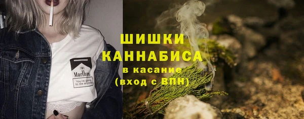 ПСИЛОЦИБИНОВЫЕ ГРИБЫ Саяногорск