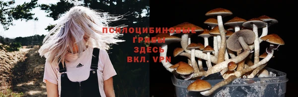 тгк Балабаново